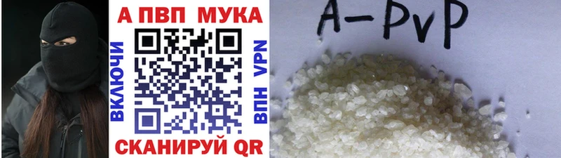 Alfa_PVP СК Королёв