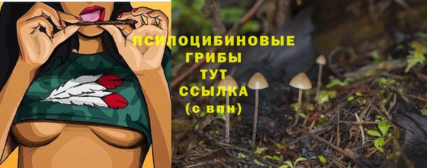 гашик Волосово